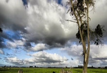 瓦力官网-灰熊队客场狂胜湖人，创历史同天队双杀！