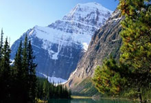 瓦力棋牌入口-河床防线稳固，力拼阿尔艾因全力拿分