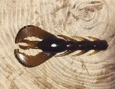 包含尼科西亚意外获胜，法甲风起云涌的词条