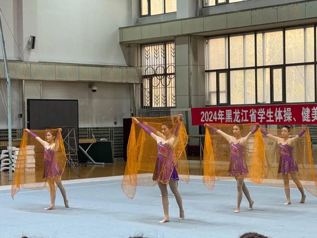 意大利游泳健将勇夺金牌，精湛技艺震撼世界