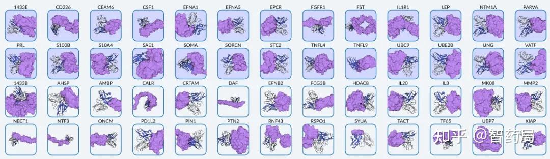 瓦力棋牌-利勒斯俱乐部拟在法国联赛中跻身前列